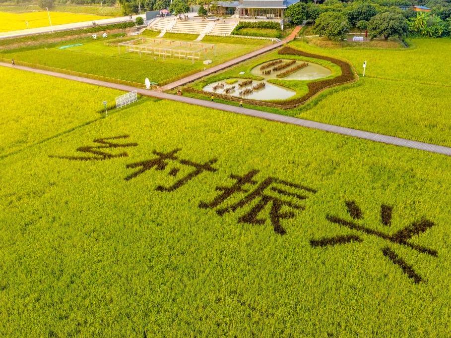 ���ݿ���(���Ρ�ku��)�ٷ���վ